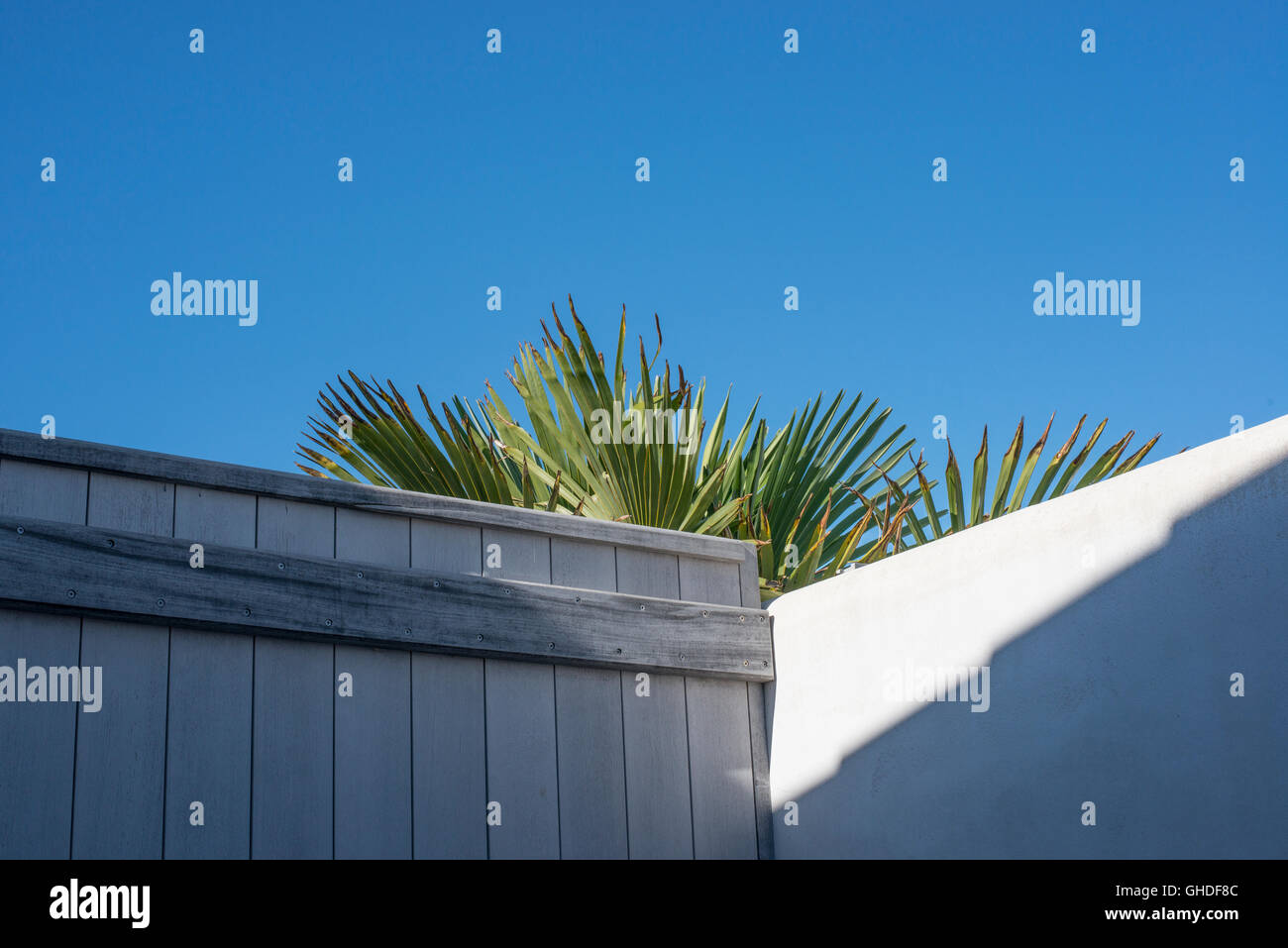 Blauer Himmel und Palmen auf Sommerurlaub Stockfoto
