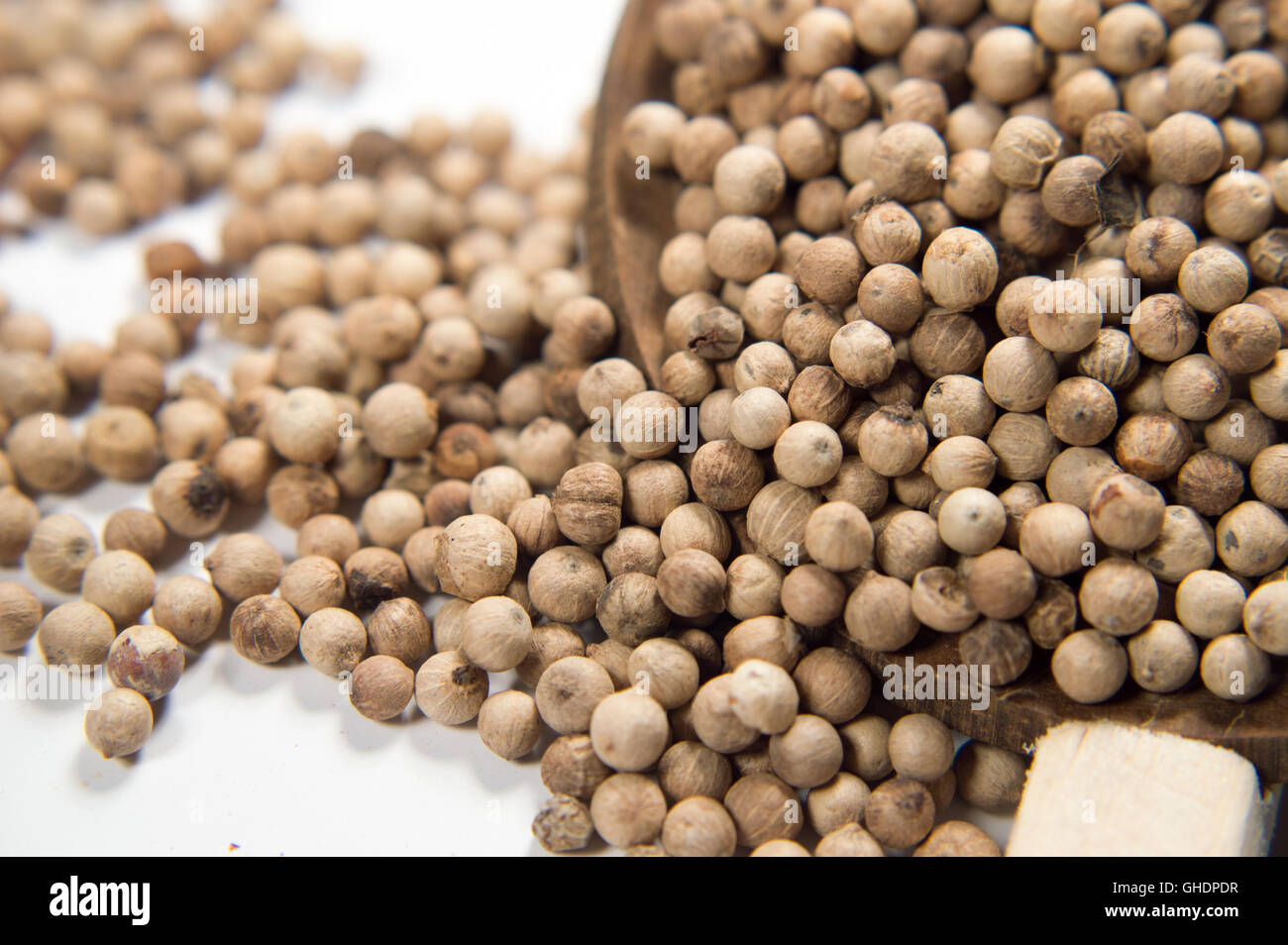 Pfeffer würzen -Fotos und -Bildmaterial in hoher Auflösung – Alamy