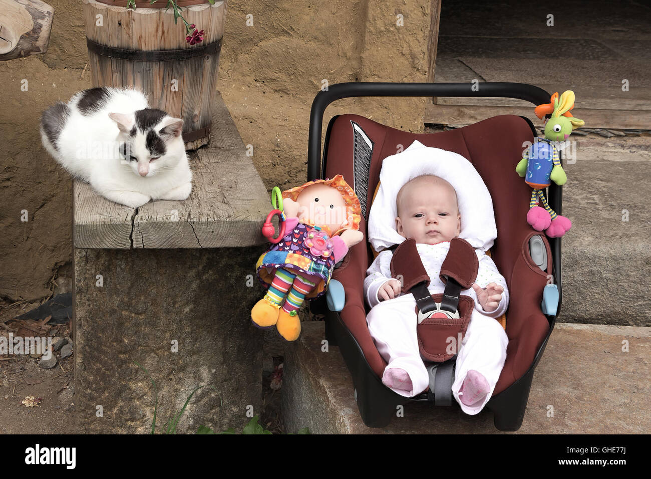 Jungen Baby, Kleinkind in einem Baby-Autositz auf eine Haustür von Vintage altes Landhaus mit einer Katze. Stockfoto
