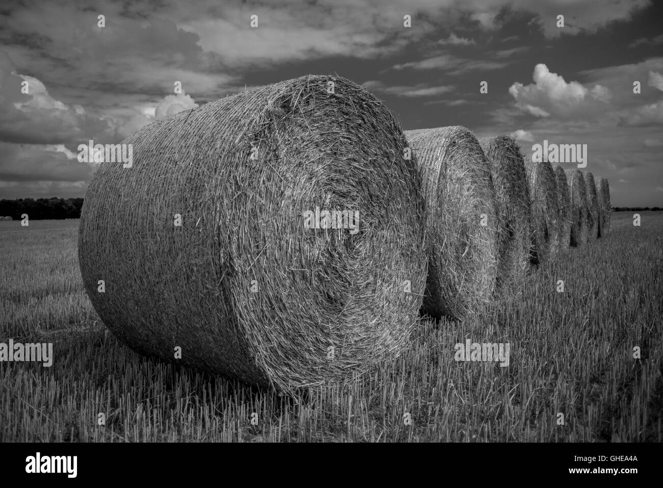 Strohballen auf einen Stoppeln niedriger Schlesien Polen Stockfoto