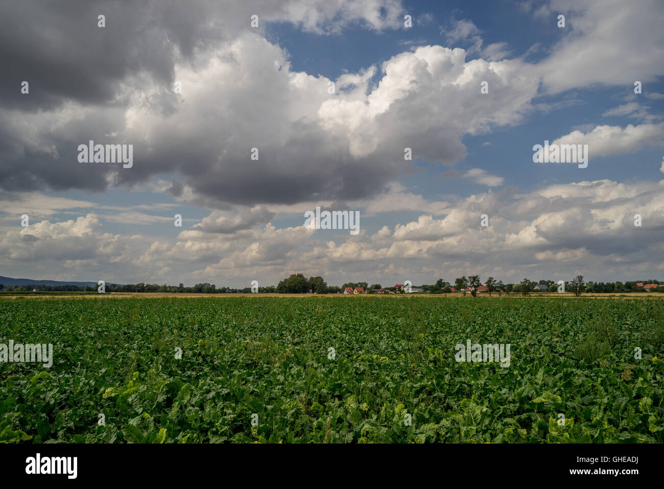 Bewölkter Himmel über Felder niedriger Schlesien Polen Stockfoto