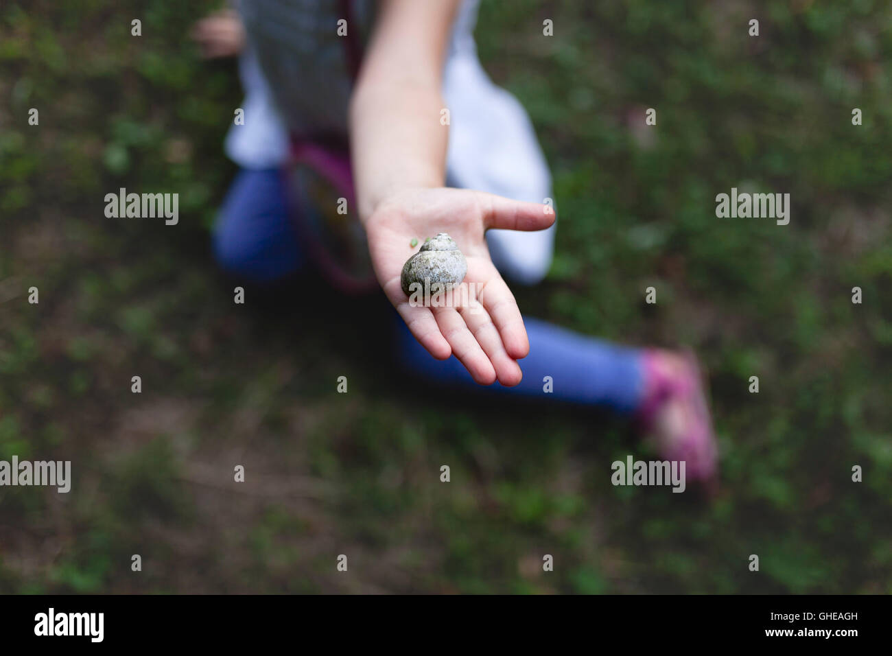 Mädchen halten Schnecke in die hand Stockfoto