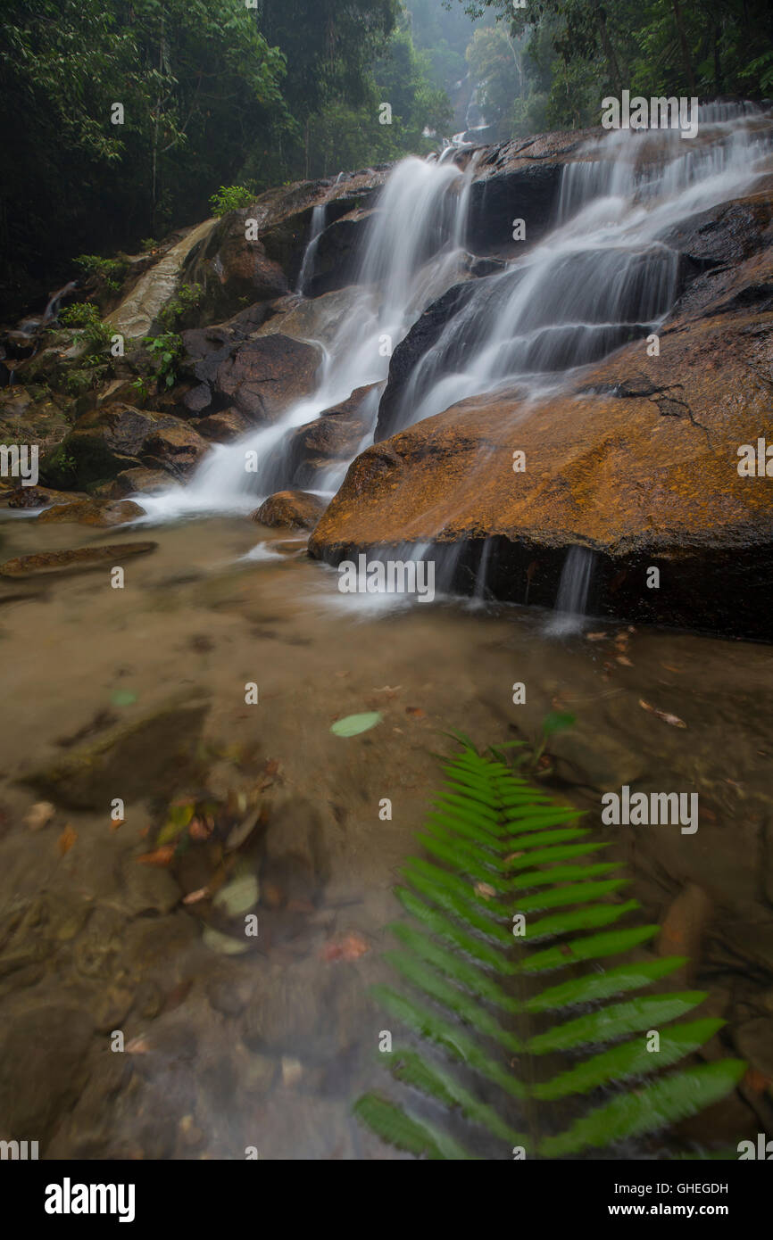 Regenwald Wasserfälle. Natur-Zusammensetzung Stockfoto