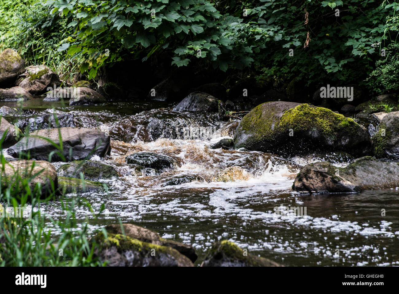 Der Fluss-Mandel, West Lothian, Schottland Stockfoto