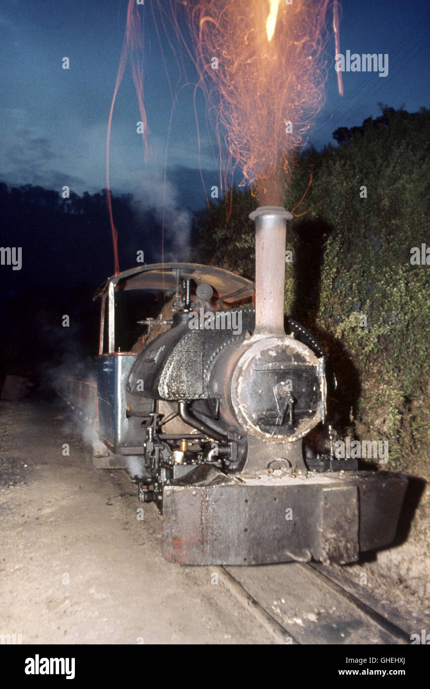 "Sally", ein standard 2 Fuß Spurweite Bagnall 0-4-0ST 1930 bei der Arbeit auf dem Tipong Zeche System im oberen Assam. Stockfoto