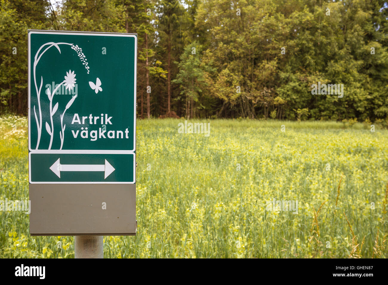 Pflanzen schützenswert, ein strassenrand Wegweiser in Schweden Stockfoto