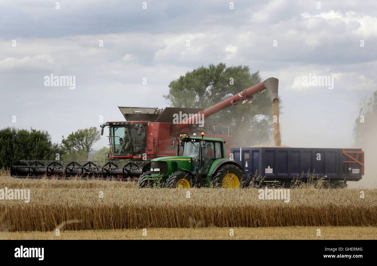 Ein Mähdrescher erntet eine Maisernte in einem Feld nahe Ashford, Kent. Bild Datum: Dienstag, 9. August 2016. Bildnachweis sollte lauten: Gareth Fuller/PA Wire Stockfoto