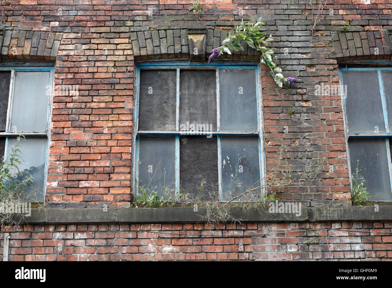Wharncliffe arbeitet in Shalesmoor Sheffield England, Großbritannien, verlassenes Fabrikgebäude, das auf die Sanierung wartet, denkmalgeschütztes Gebäude Stockfoto
