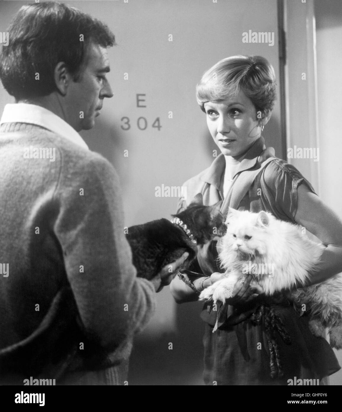 DIE Katze aus dem Weltraum USA 1978 Norman Tokar Liebe auf den ersten Blick: abfallendes Katzen und Menschen nehmen eine sofortige Sympathie zu potenziellen Partnern wie Liz Bartlett (SANDY DUNCAN) Frank Wilson (KEN BERRY Augen) und Jake die Katze, links, an Katze Lucy Belle schnuppert. Regie: Norman Tokar Stockfoto
