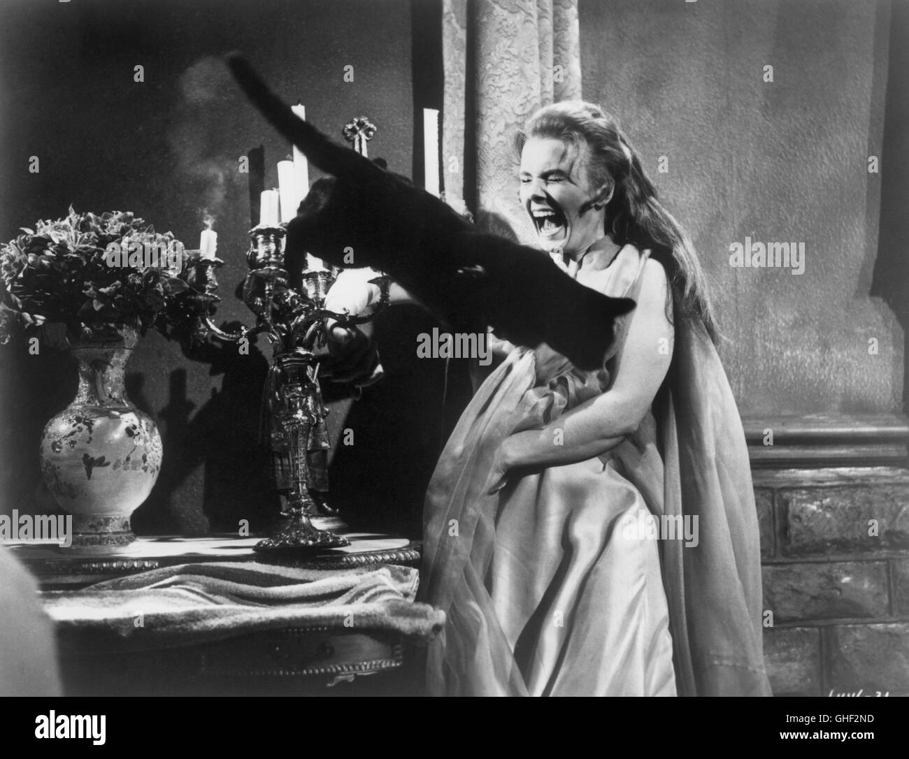 VAMPIRA alte Dracula UK 1974 Clive Donner greifen die weinenden Valerie Spalding (JENNIFER DANIEL) und die schreckliche Katze. Regie: Clive Donner aka. Alten Dracula Stockfoto