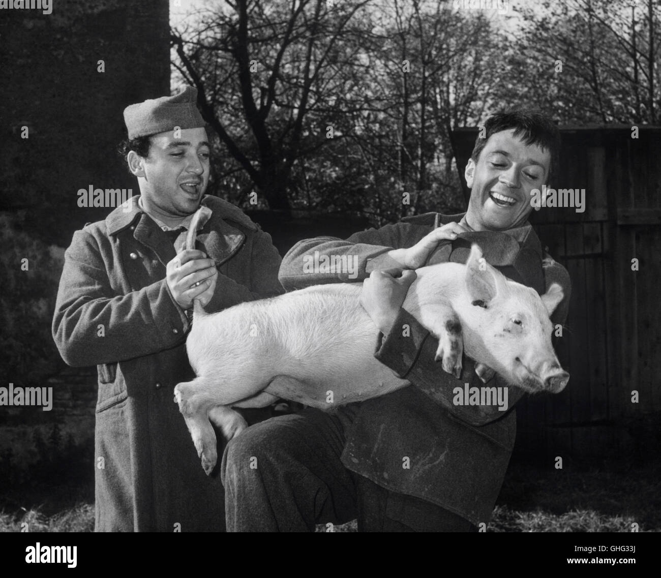 JACQUES JOUANNEAU (Penche A Gauche), JEAN-PIERRE CASSEL (Corporal) mit einem Schwein. Regie: Jean Renoir Stockfoto