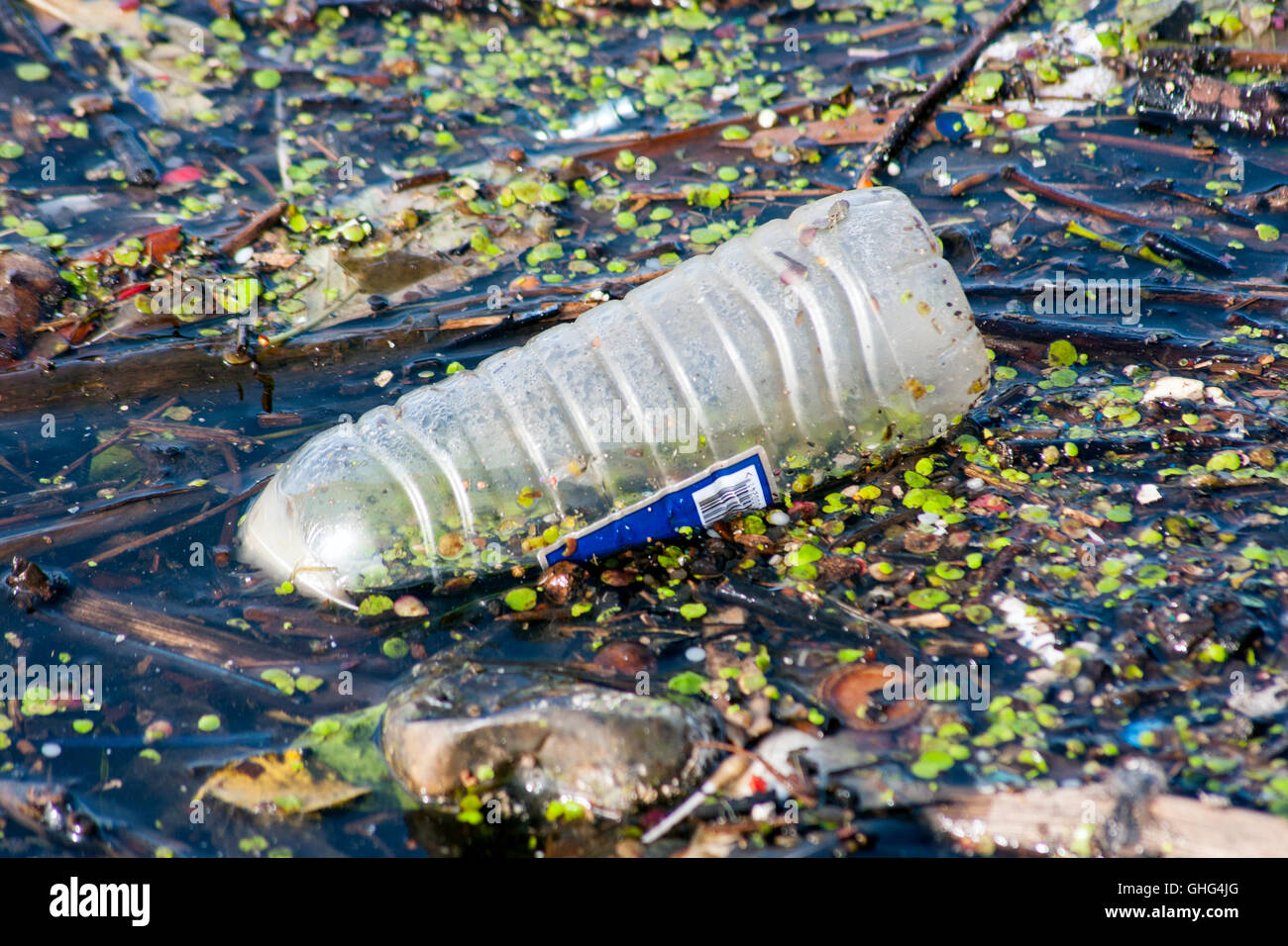Leere Plastikflasche verschmutzt Wasserstraße Stockfoto