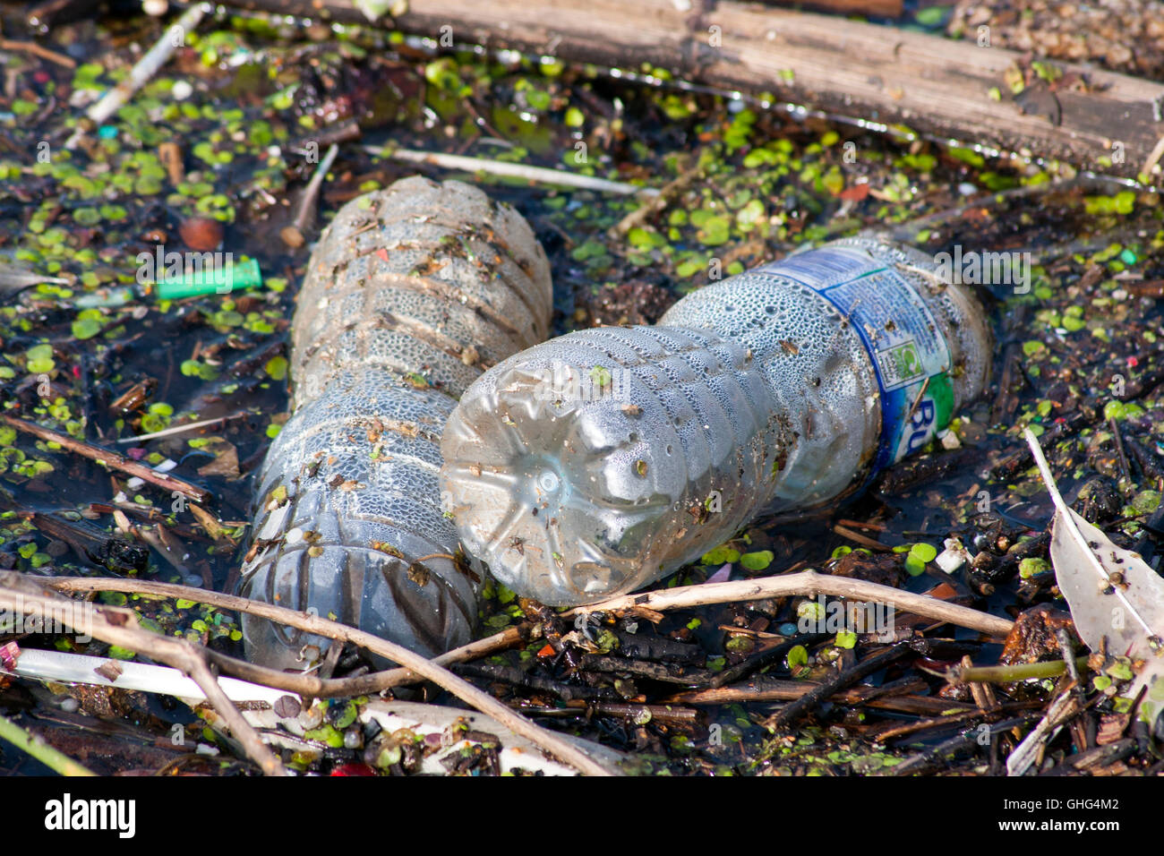 Leere Plastikflaschen verschmutzen Wasserstraße Stockfoto