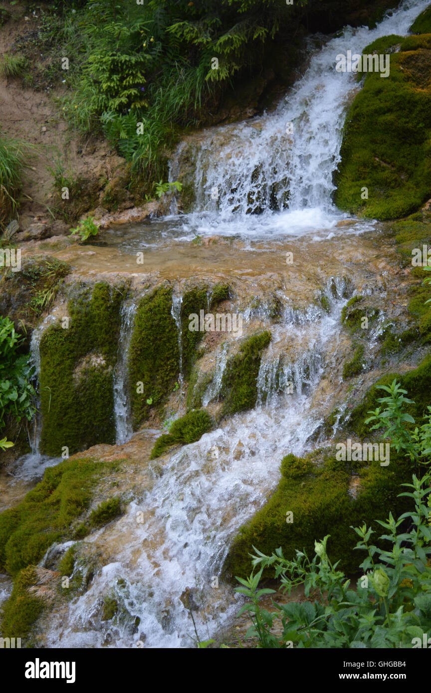 Wasser fließt über moosigen Boden Stockfoto