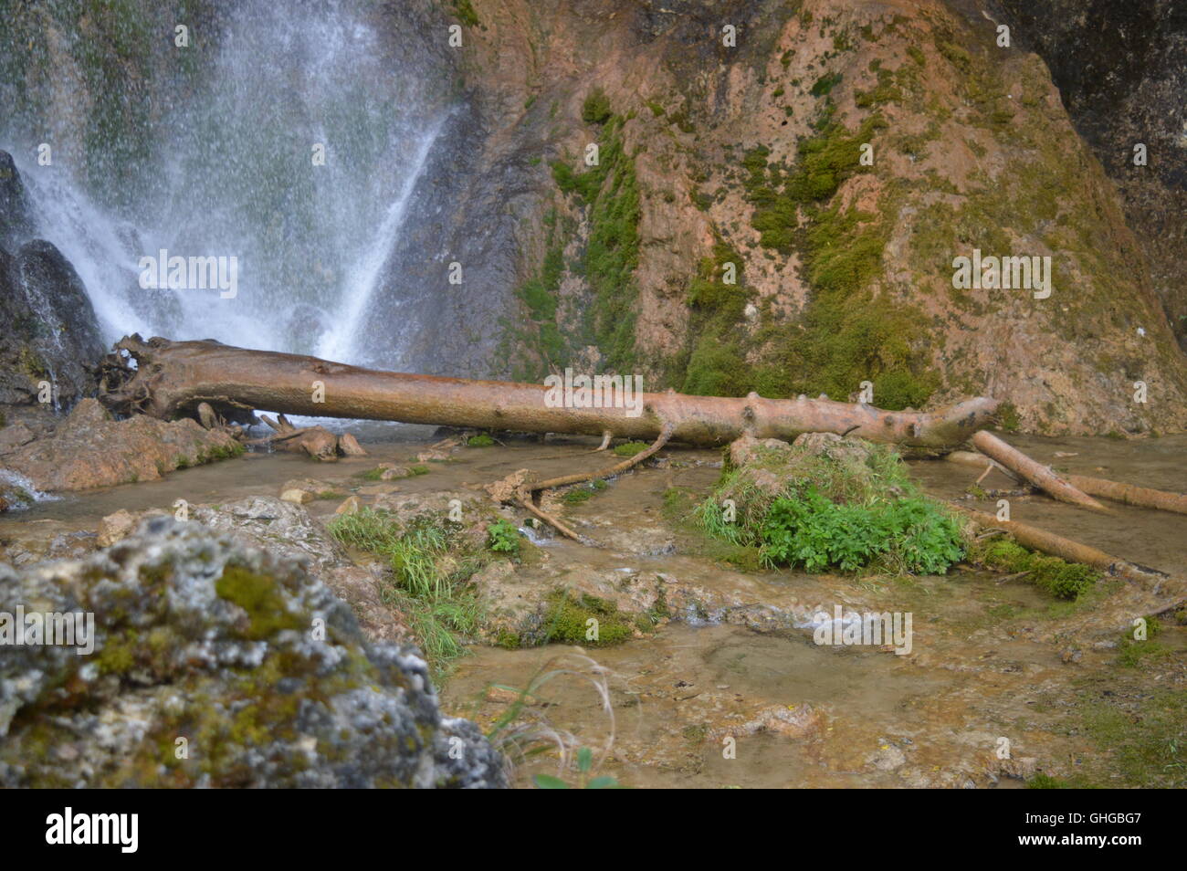 Umgestürzten Baum am Fuße eines Wasserfalls Stockfoto