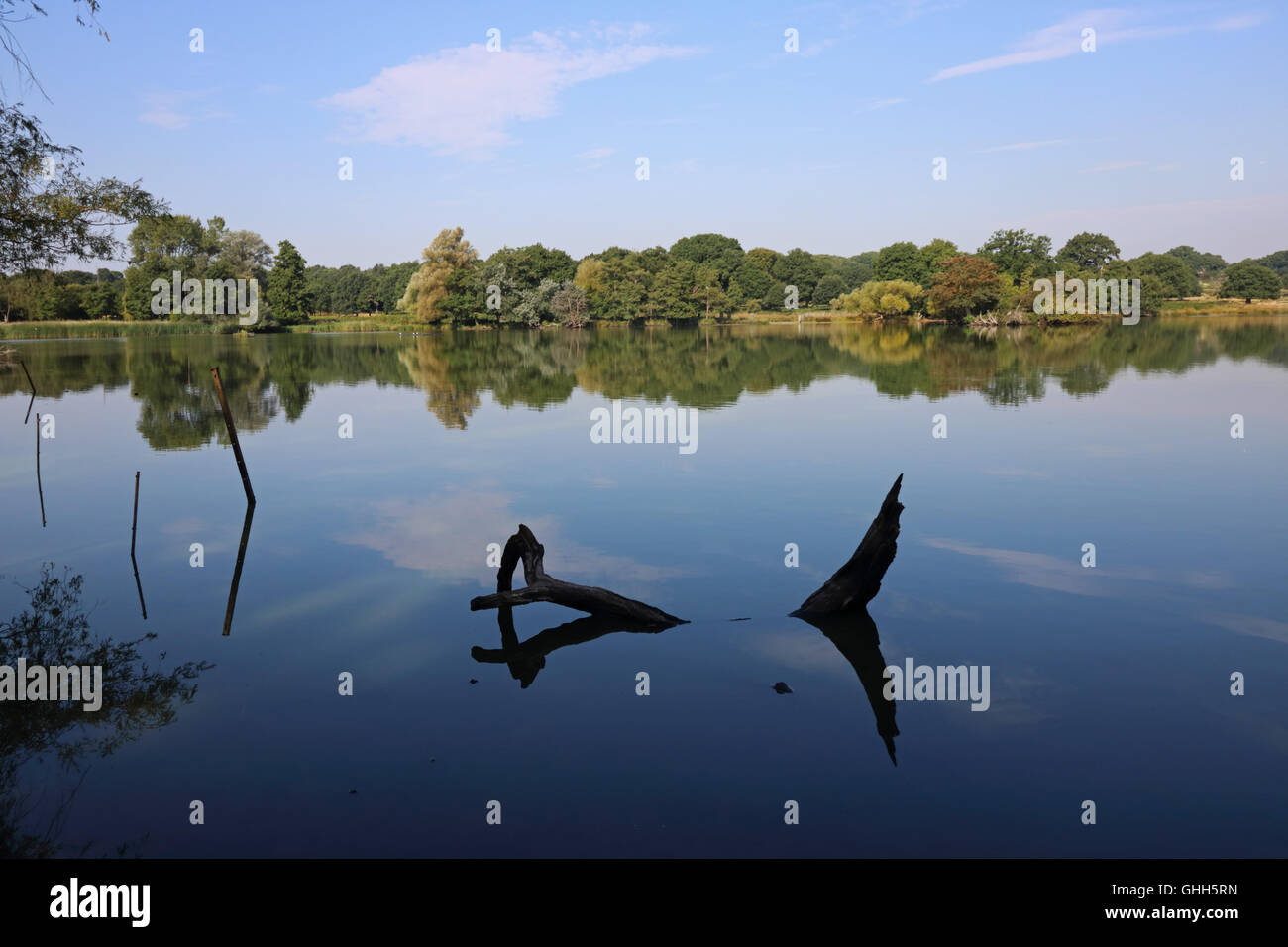 Richmond Park, SWLondon, UK. 14. September 2016. Bäume spiegeln sich