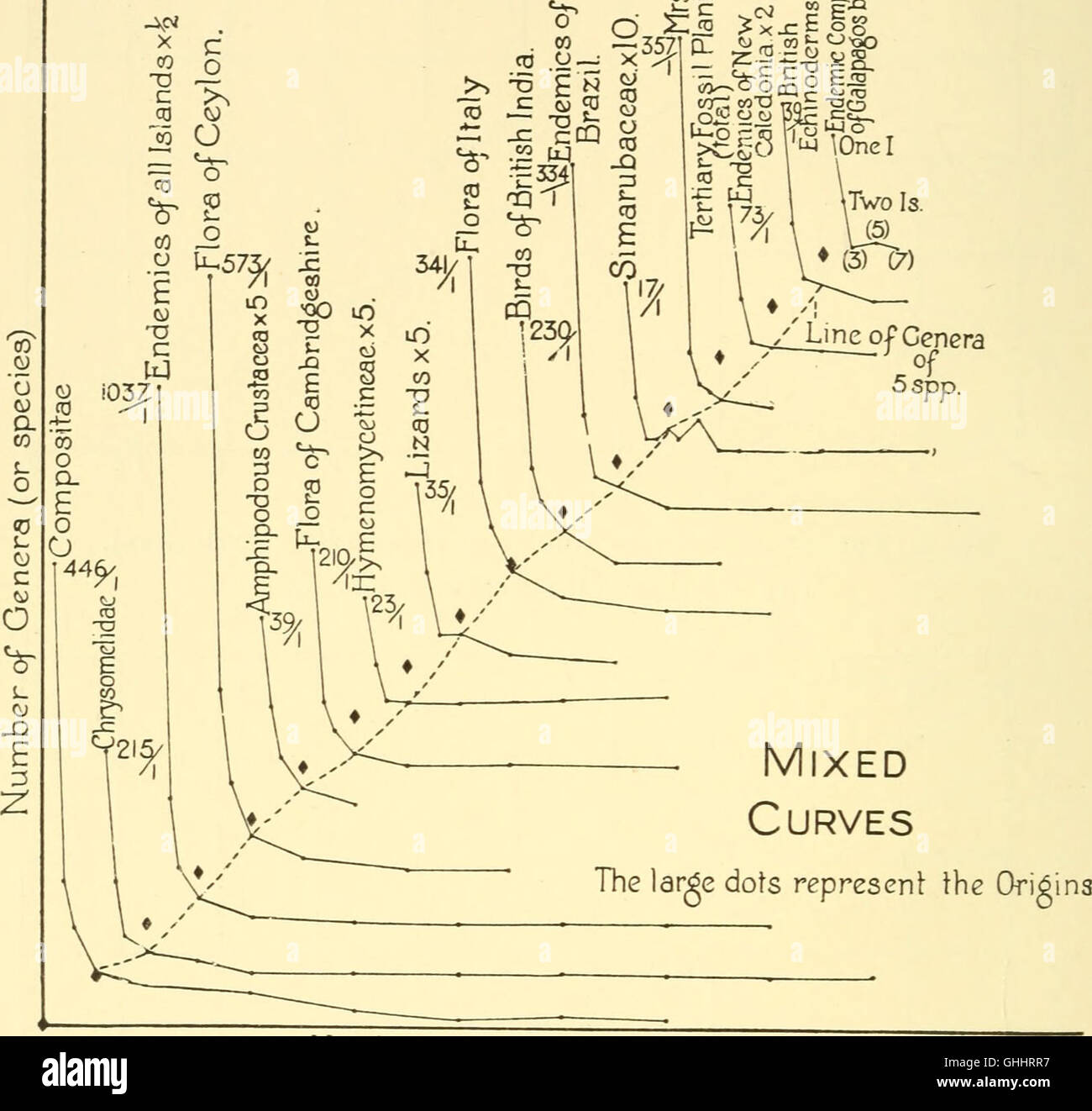 Im Laufe der Evolution durch Differenzierung oder abweichende Mutation anstatt durch Selektion (1940) Stockfoto