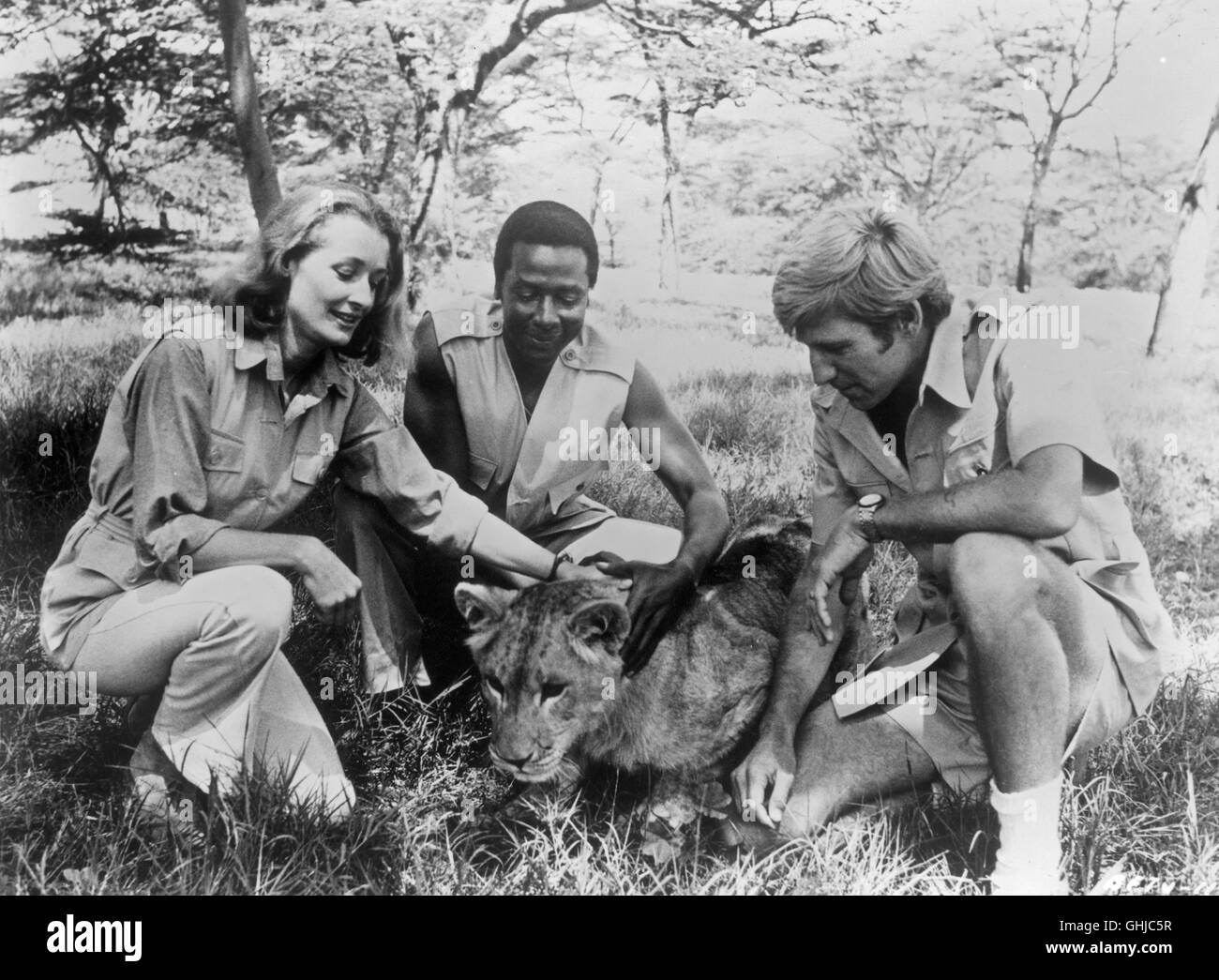 DIANA MULDAUR, GARY COLLINS (Freude und George Adamson mit Löwen in Ost-Afrika). Regie: Jack Couffer Stockfoto