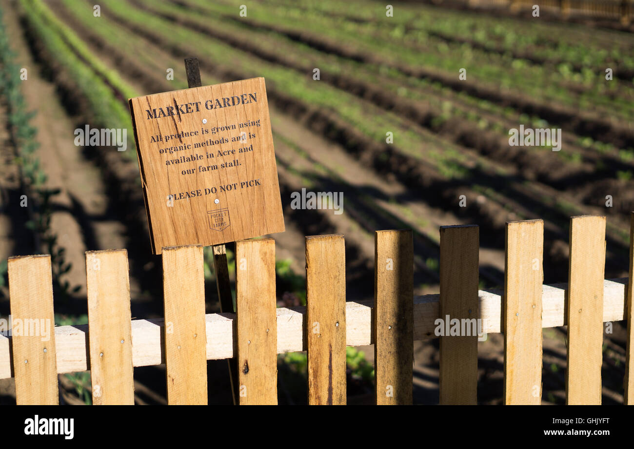 Eine Gärtnerei auf dem Gelände in Camperdown, Sydney Stockfoto