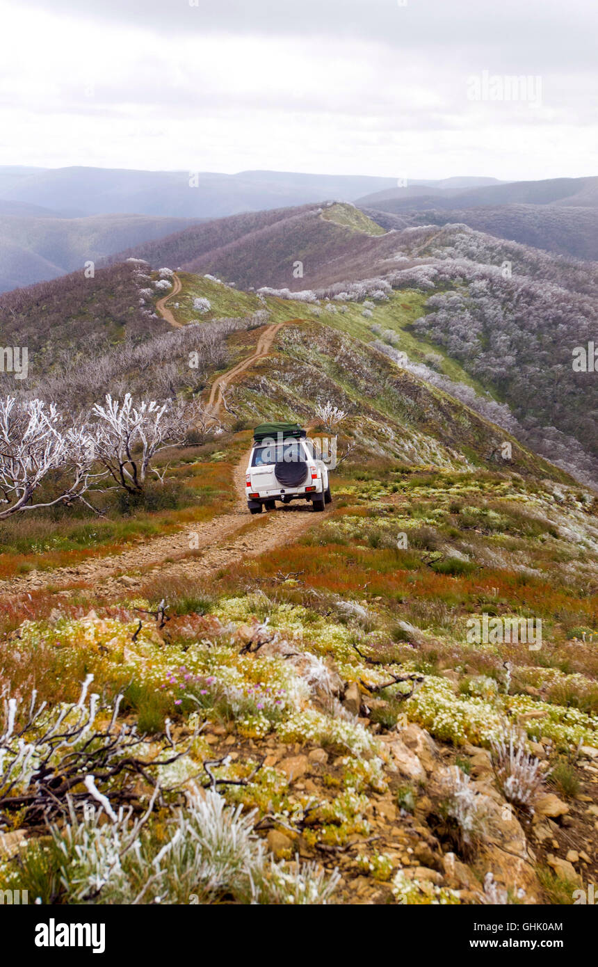 4WDriving in den australischen alpinen Regionen Stockfoto