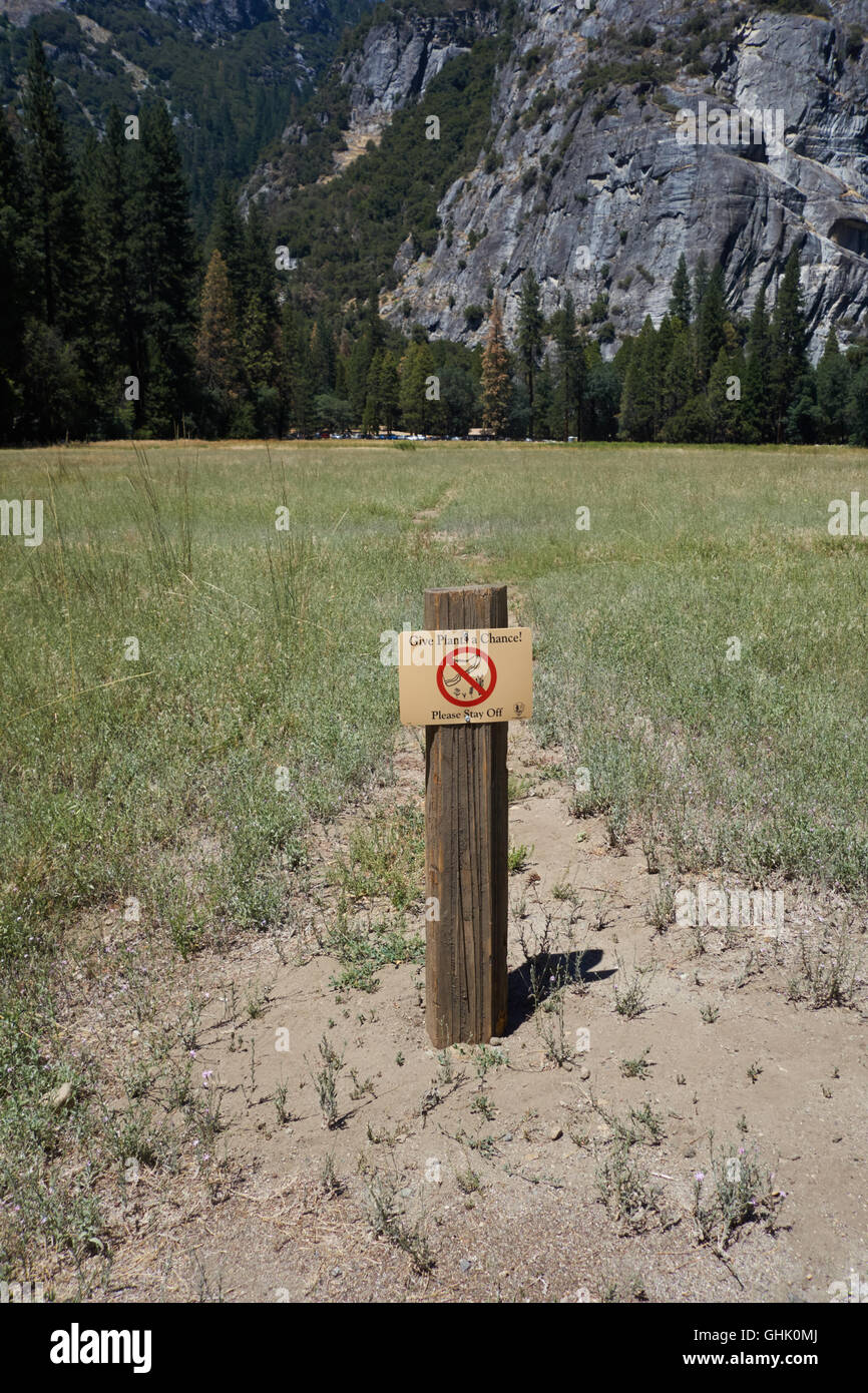 Pflanzen-Schild abzuwehren. Yosemite National Park in Kalifornien. USA Stockfoto