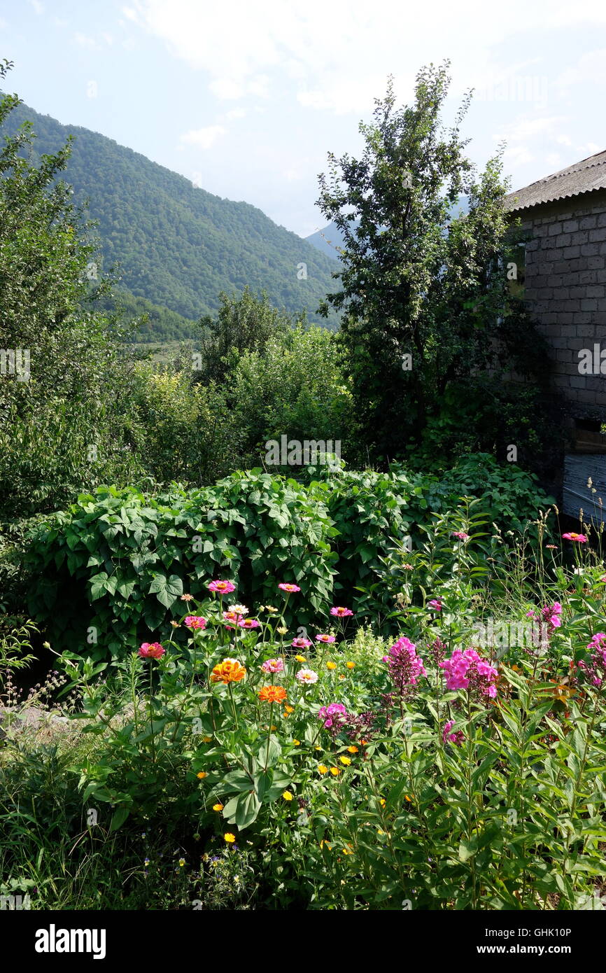 Haghpat N Armenia Zinnien und Gartenblumen in Haus im Dorf, Berge im Hintergrund Stockfoto