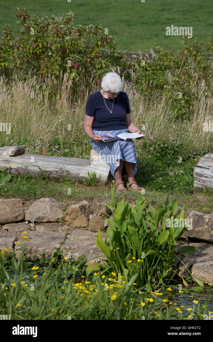 Ältere Frau liest, sitzend auf Baumstamm Weiher Cotswolds UK Stockfoto