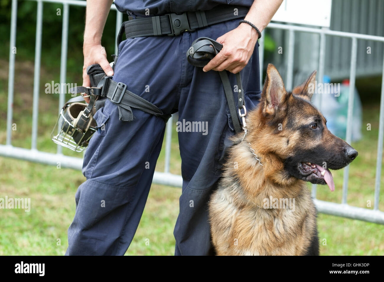 Polizist mit einem Schäferhund Polizeihund Stockfoto