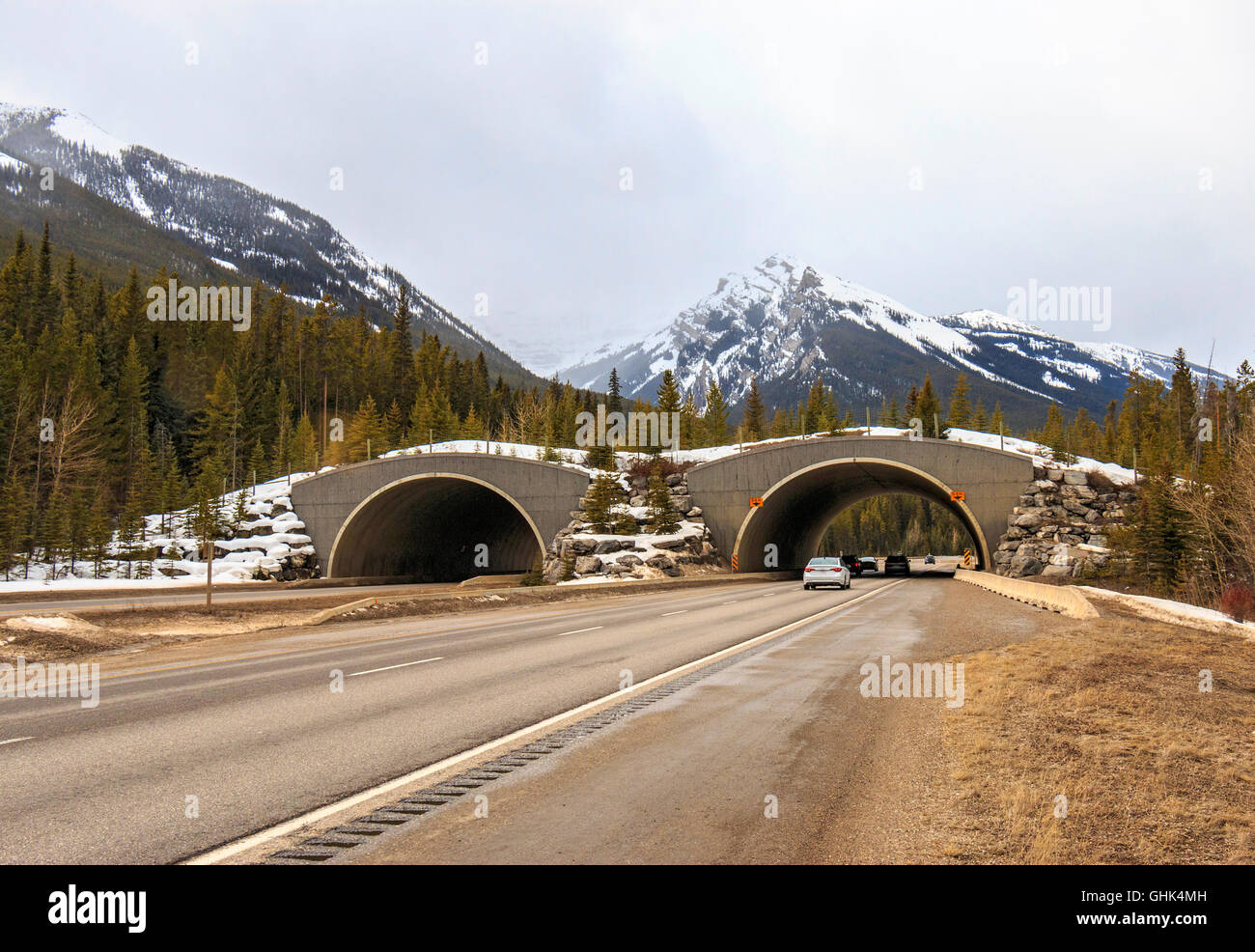 Einer der vielen tierischen Überführungen auf dem Trans Canada Highway. Sie sind ein großer Erfolg gewesen. Cougar, Elche, Elche, Bären, Wölfe... jegliche Nutzung Stockfoto