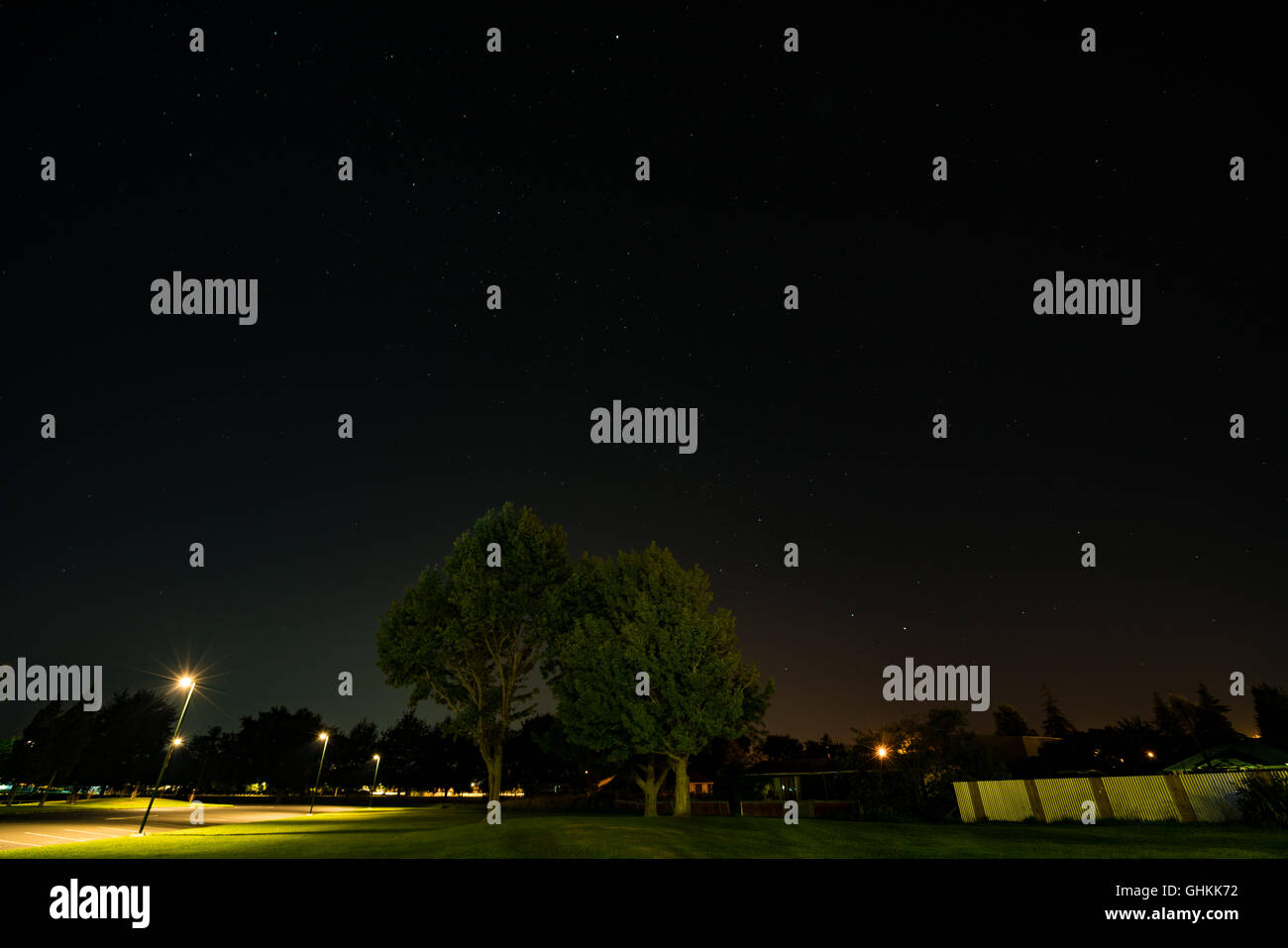 Baum der Nacht Himmel in Stadt Stockfoto