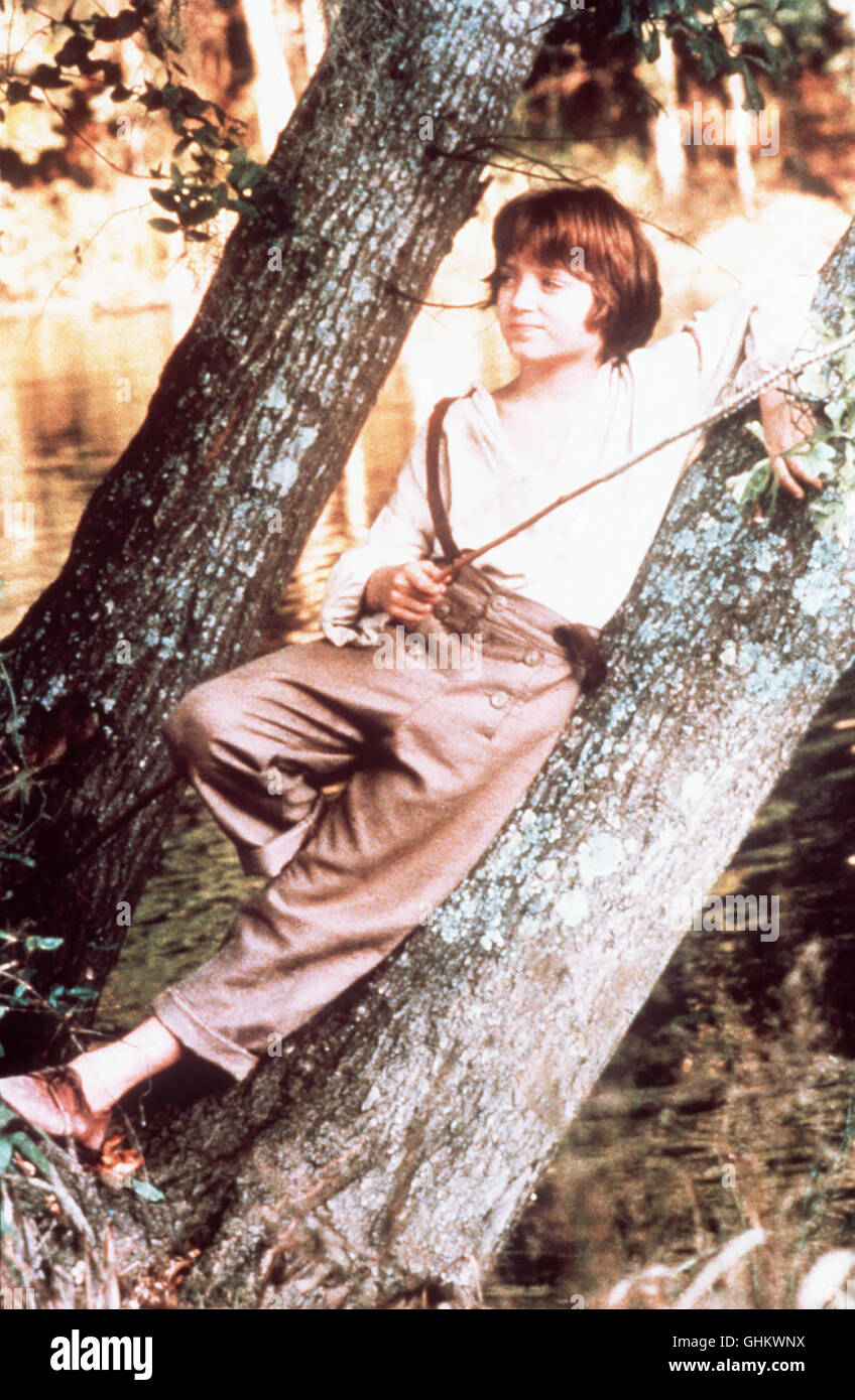 Huck Finn - PATRICK DAY Regie: Peter H. Hunt aka. Die Abenteuer des Huckleberry Finn ich Stockfoto