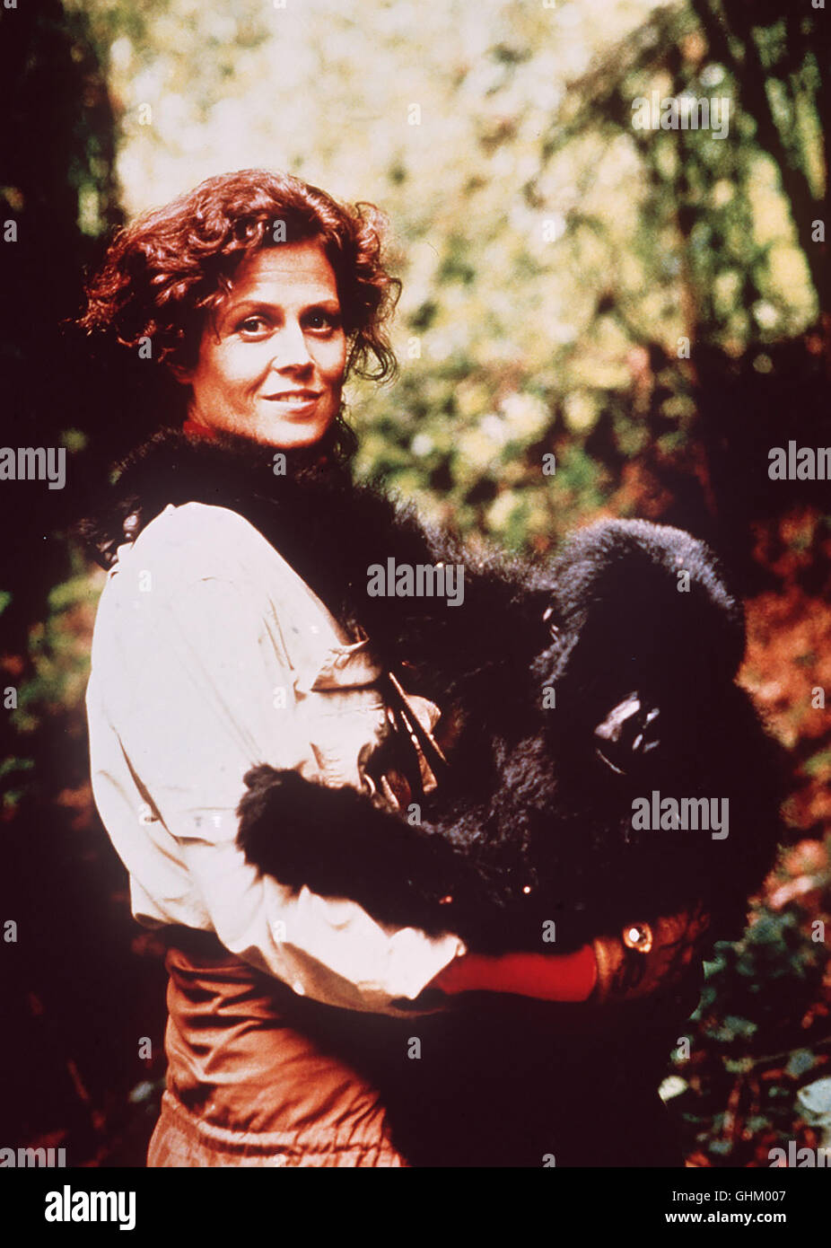 Gorillas im nebel sterben leidenschaft der dian fossey -Fotos und ...