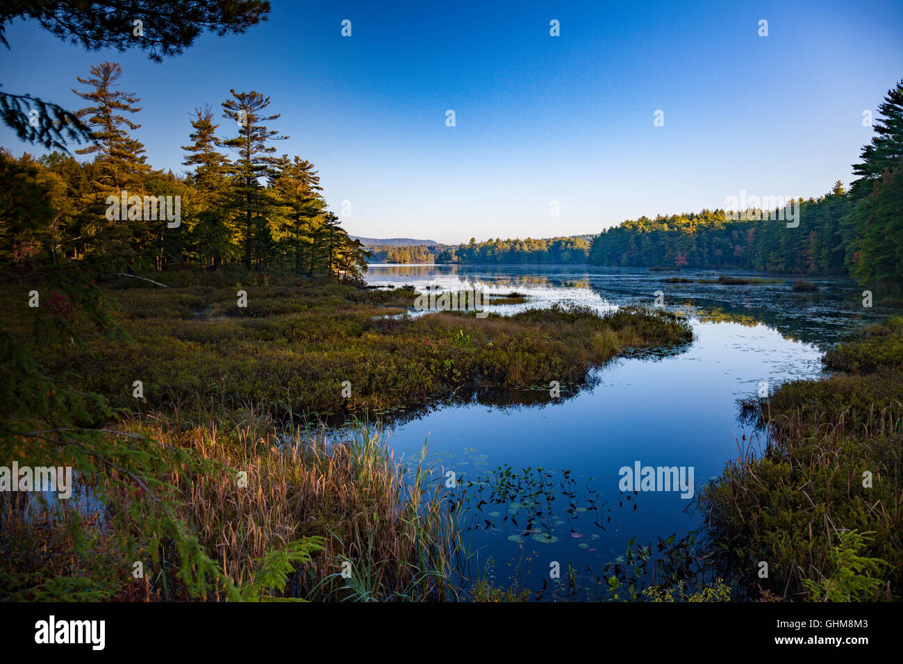 See in den Wald New Hampshire USA Stockfoto
