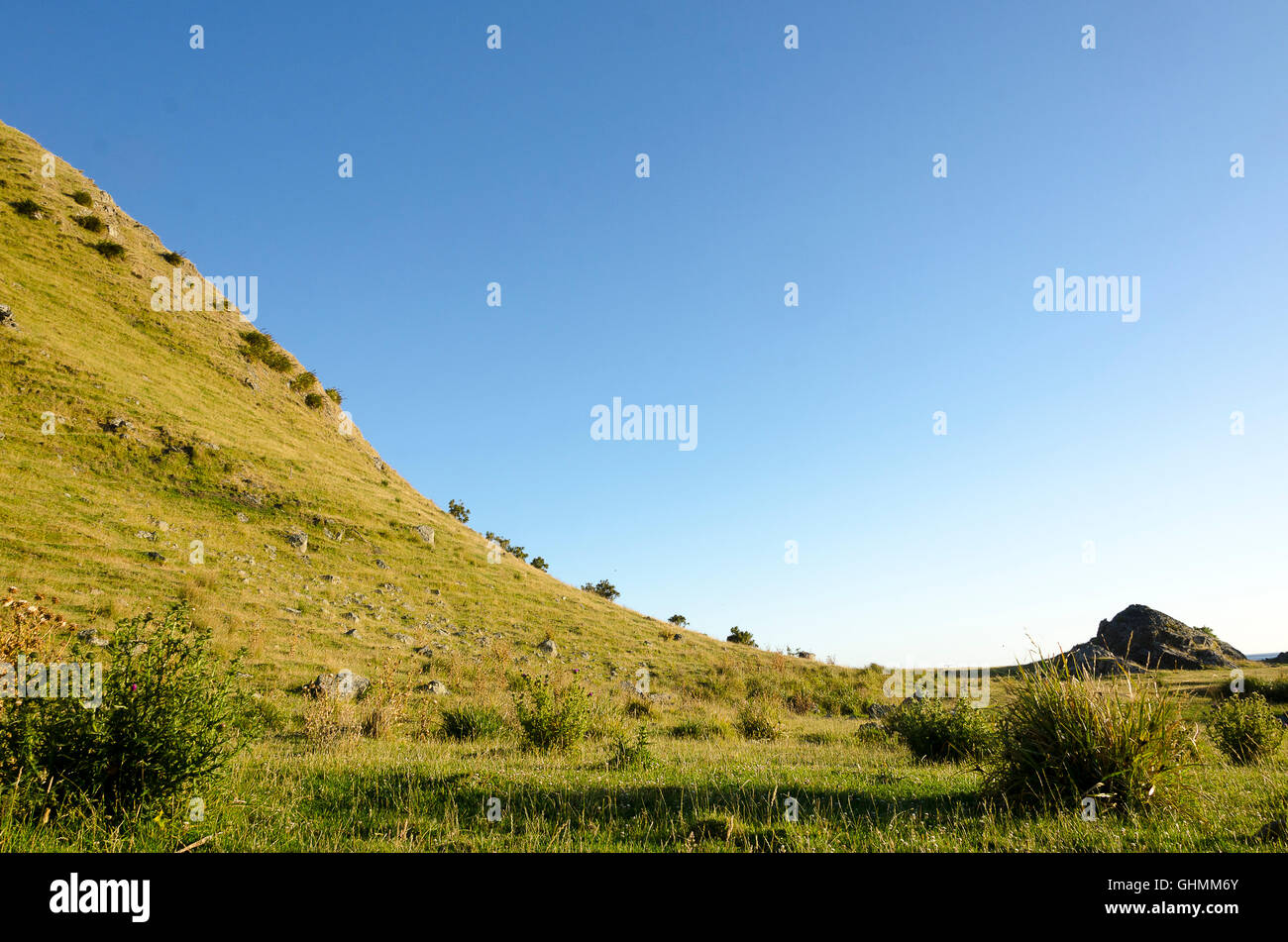 Grüne Hügel, Glenburn, Wairarapa, Nordinsel, Neuseeland Stockfoto