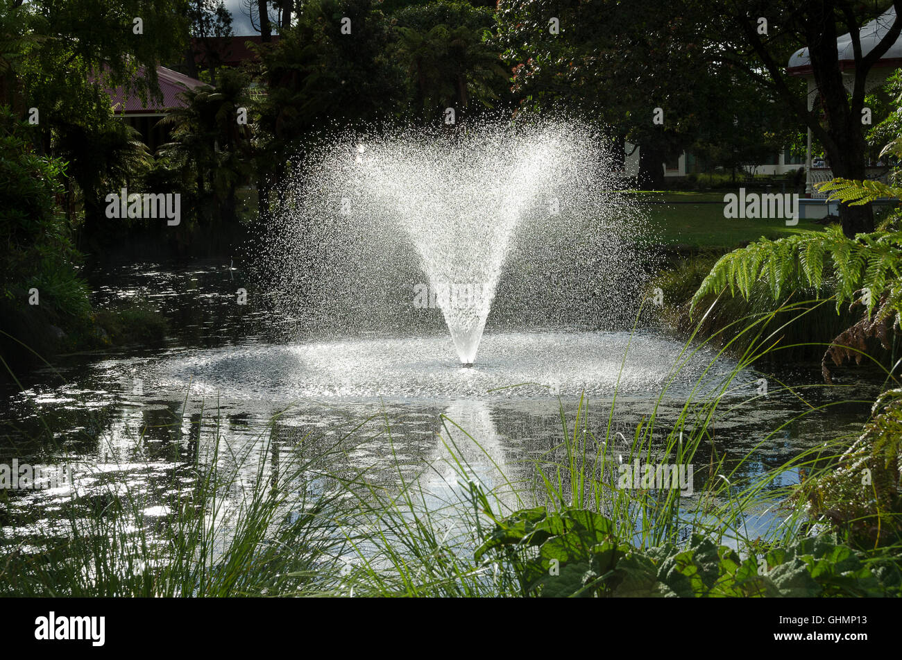 Brunnen an der Regierung Gärten, Rotorua, Nordinsel, Neuseeland Stockfoto