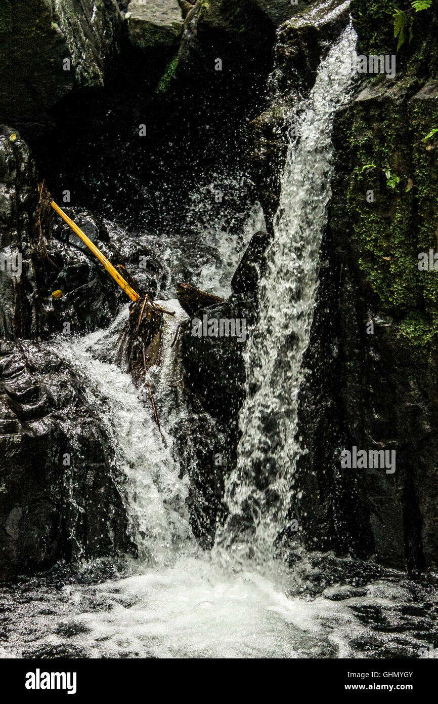 Wasserstrahl bewegt durch Felsen in Teich Stockfoto