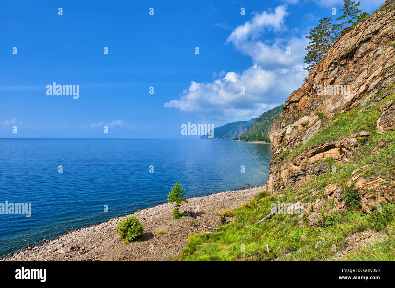 Kleine Lärche wächst am Kiesstrand. Der Baikalsee. Ost-Sibirien. Russland Stockfoto