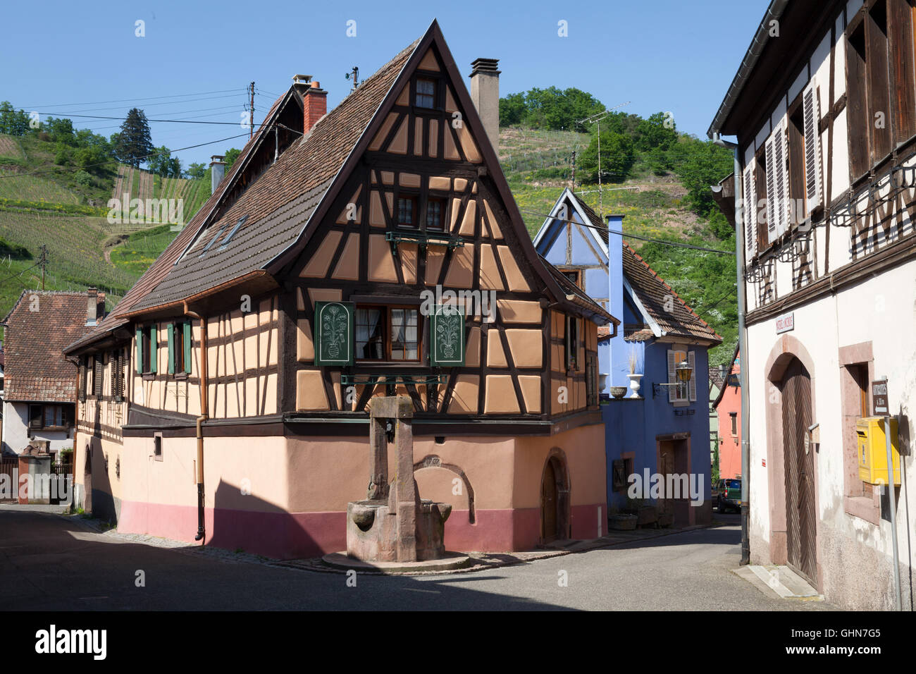 Traditionelles Fachwerkhaus in Niedermorschwihr, Elsass, Frankreich. Stockfoto
