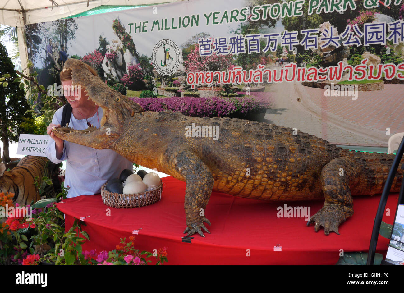 Ein Tourist legt ihren Kopf in einem ausgestopften Krokodil auf einer Förderung stehen in Pattaya Thailand Stockfoto