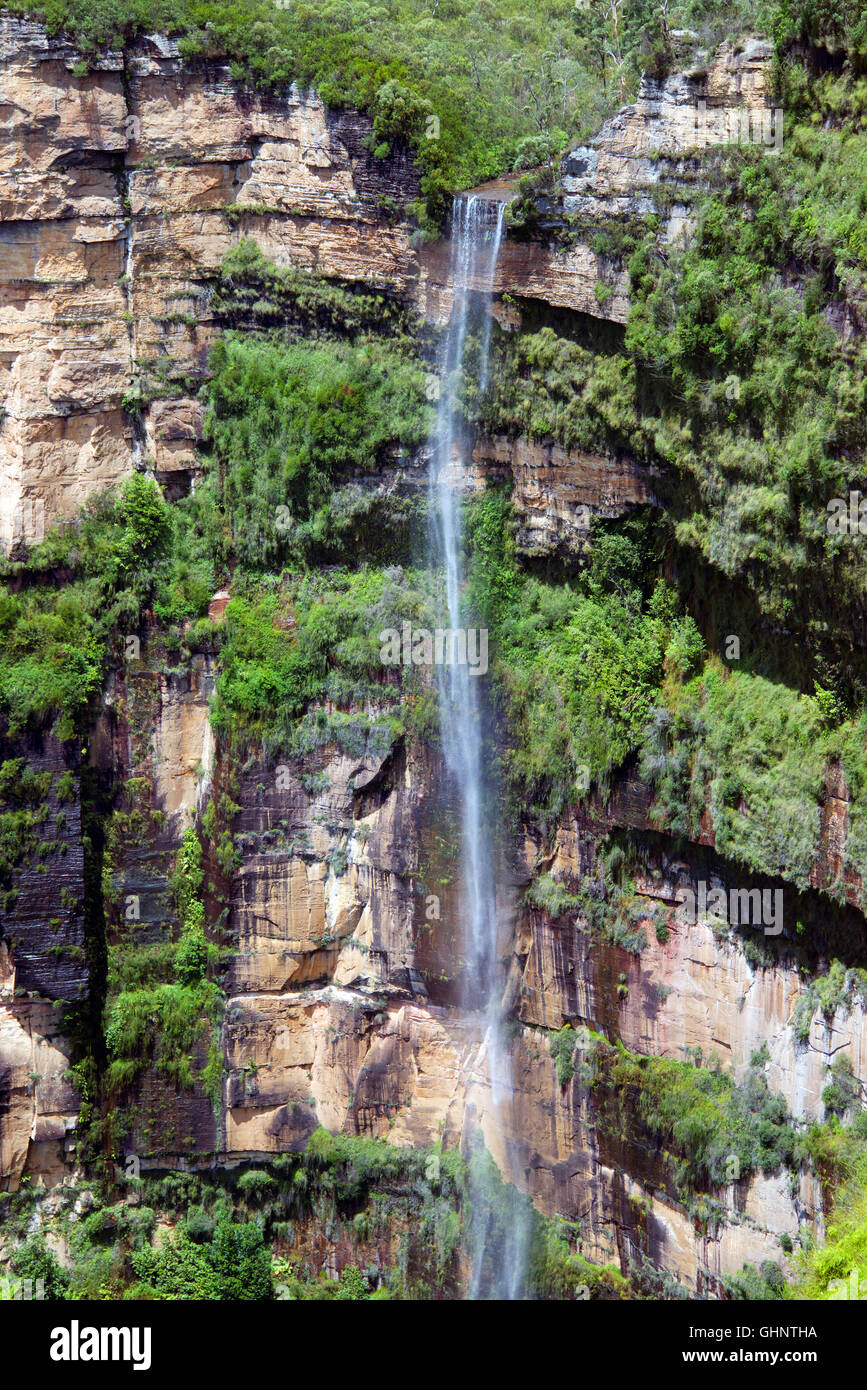 Ansicht der Bridal Veil Falls aus Govetts Leap Lookout Blackheath Blue Mountains New South Wales Australien Stockfoto