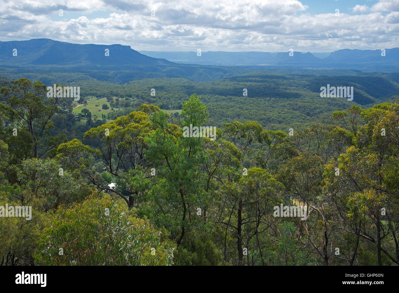 Capertree Tal von Pearsons Lookout NSW Australia Stockfoto