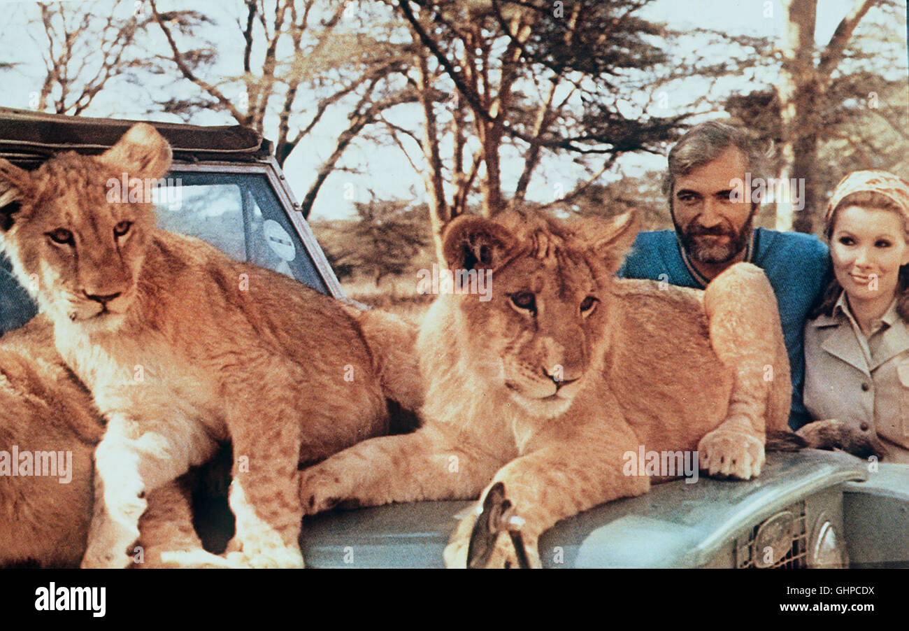 Drei Strolche der Herdenstrukturen - Frei Geboren Leben kostenlos Das Wildhüterpaar Joy Und George Adamson (SUSAN Hampshire Und NIGEL DAVENPORT) Nehmen Sich der Drei Mutterlosen Löwenbabys Jg. Regie: Jack Couffer aka. Leben frei Stockfoto