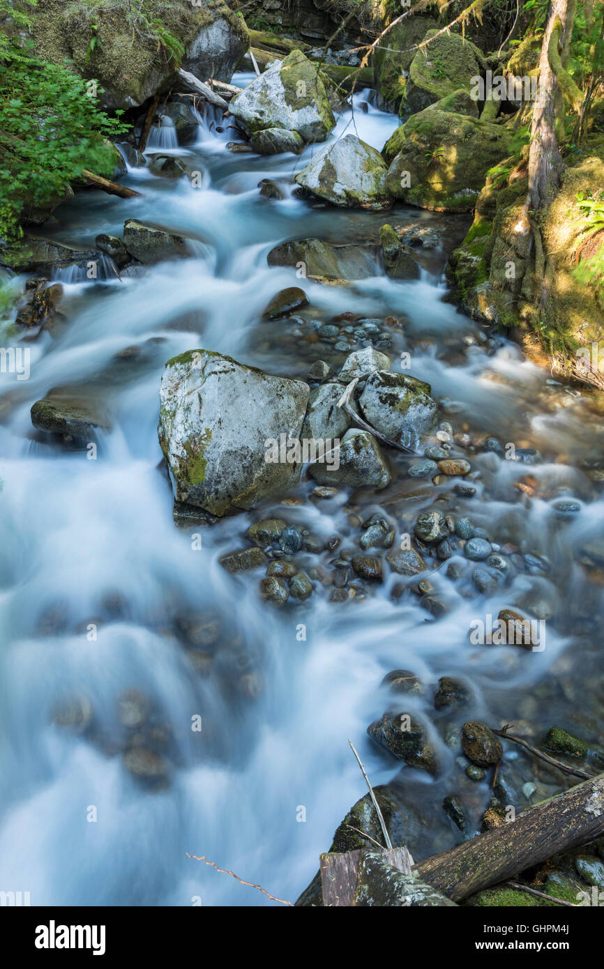 Leiter Creek fließt um Felsen in der North Cascades National Park im US-Bundesstaat Washington. Stockfoto