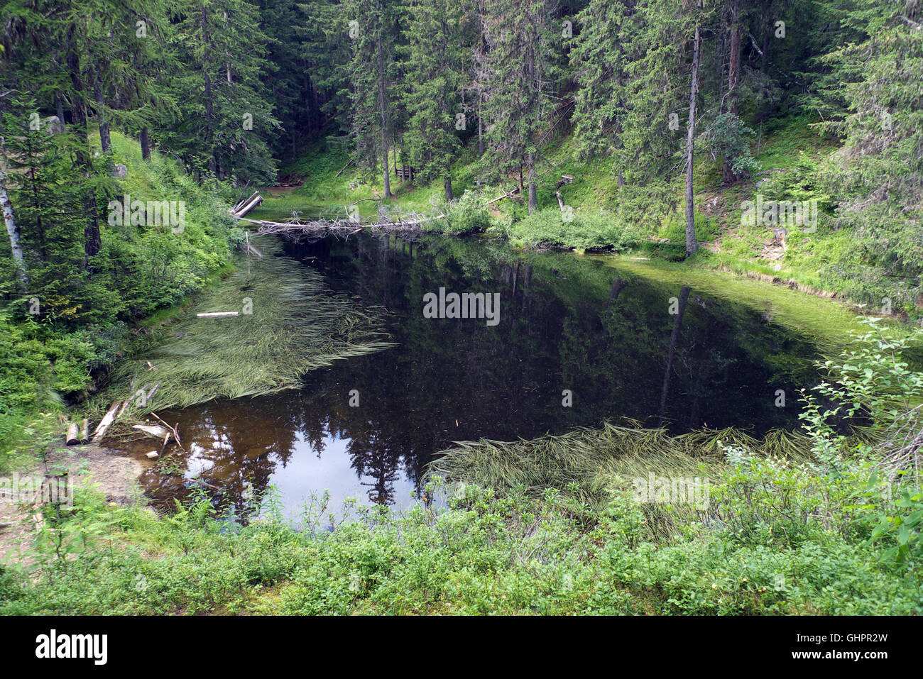 Lac Noir, Les Houches, Chamonix Mont Blanc, Rhône-Alpes, Haute Savoie, Frankreich, Europa, EU Stockfoto