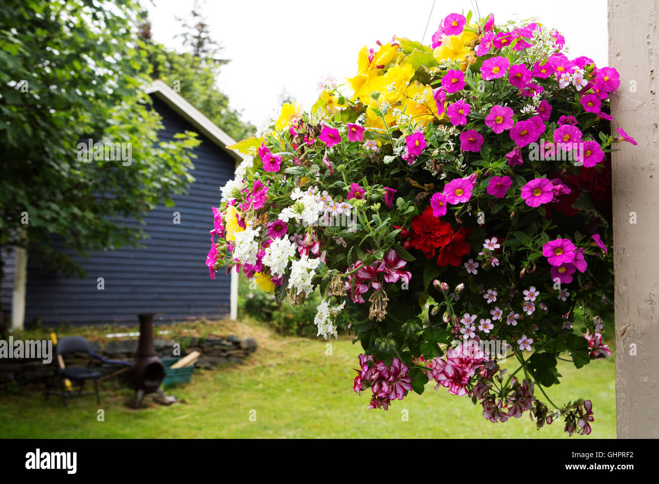 Einen bunten hängenden Korb mit Blumen bei Amoretten in Neufundland und Labrador, Kanada. Stockfoto