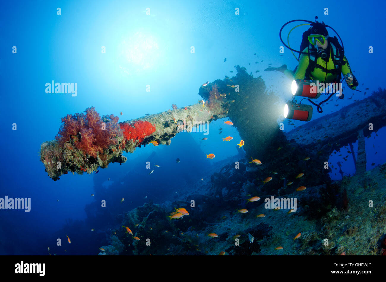 Schiffbruch erleiden Sie SS Thistlegorm, Taucher am Wrack in der Nähe von Propeller, Wrack Thistlegorm, Rotes Meer, Ägypten, Afrika Stockfoto