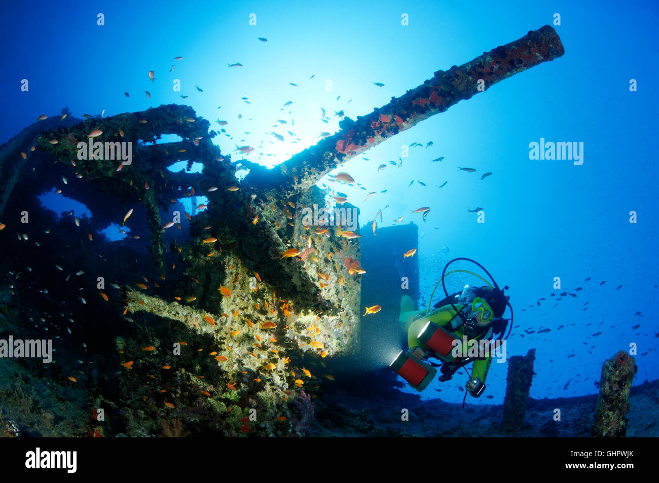 Schiffbruch erleiden Sie SS Thistlegorm, Taucher am Wrack in der Nähe von Propeller, Wrack Thistlegorm, Rotes Meer, Ägypten, Afrika Stockfoto