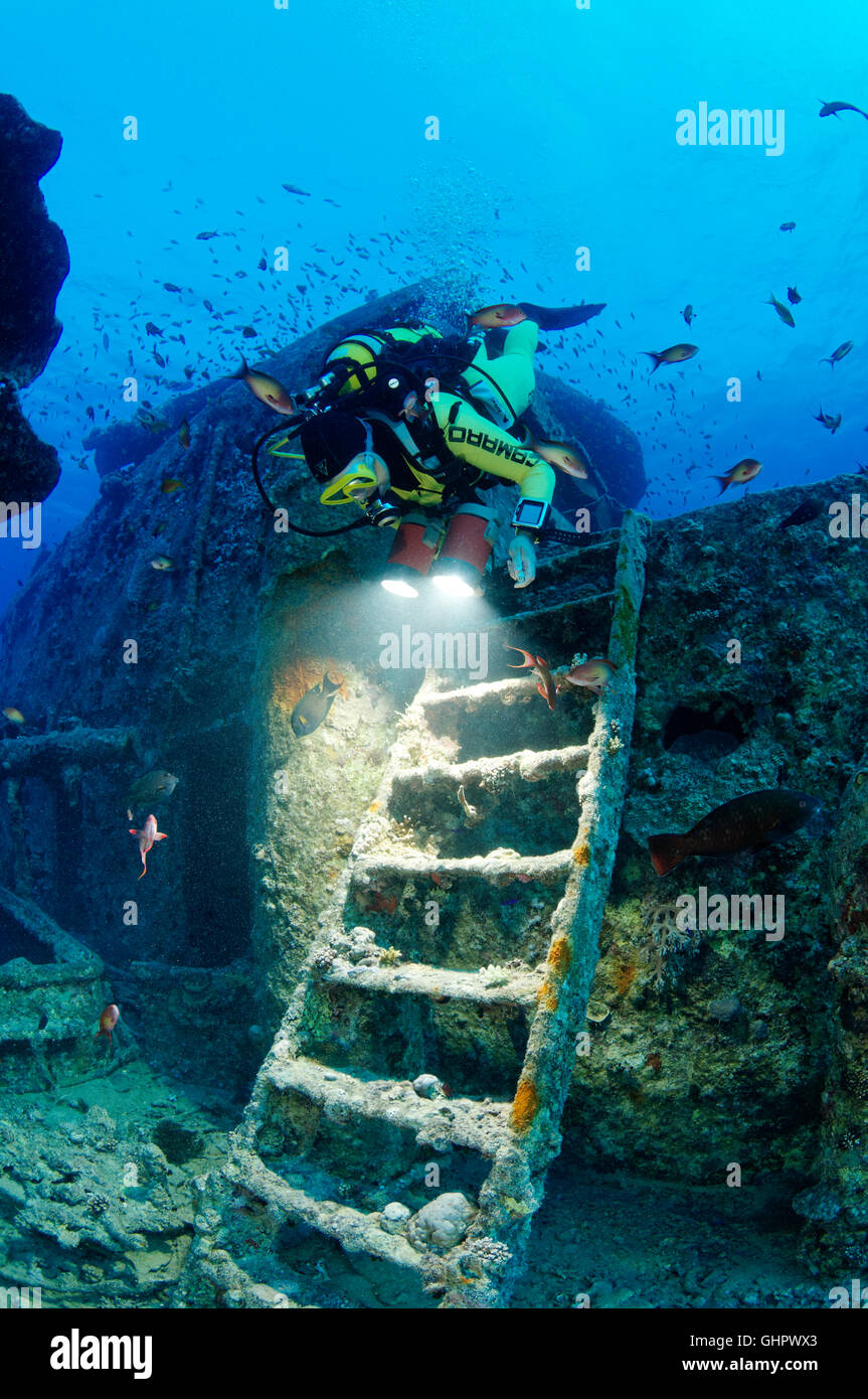 Schiffbruch erleiden Sie SS Thistlegorm, Taucher auf Schiff Wrack, Wrack Thistlegorm, Rotes Meer, Ägypten, Afrika Stockfoto