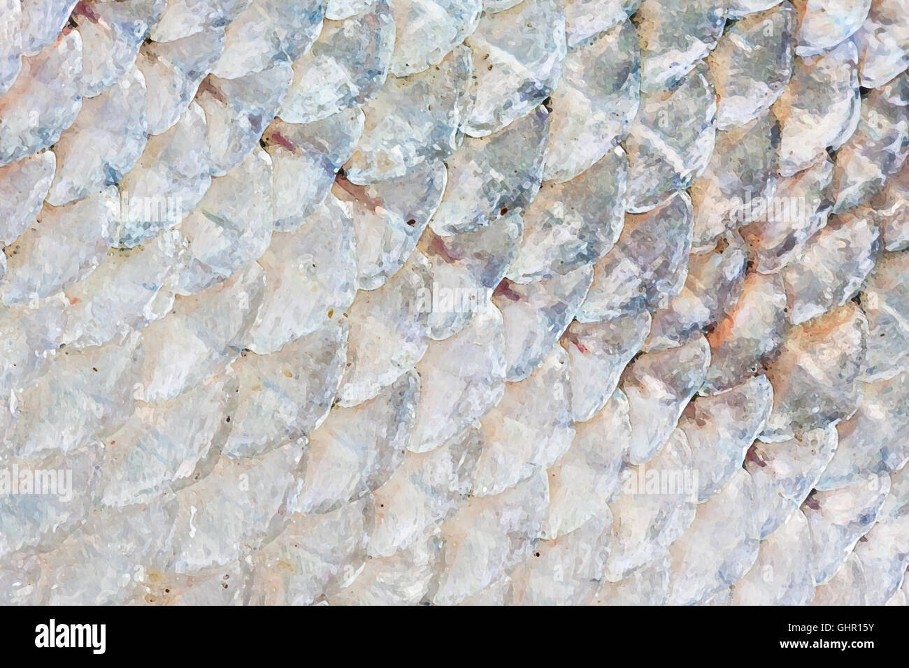 Illustration der Fischhaut oder skaliert Closeup Stockfoto