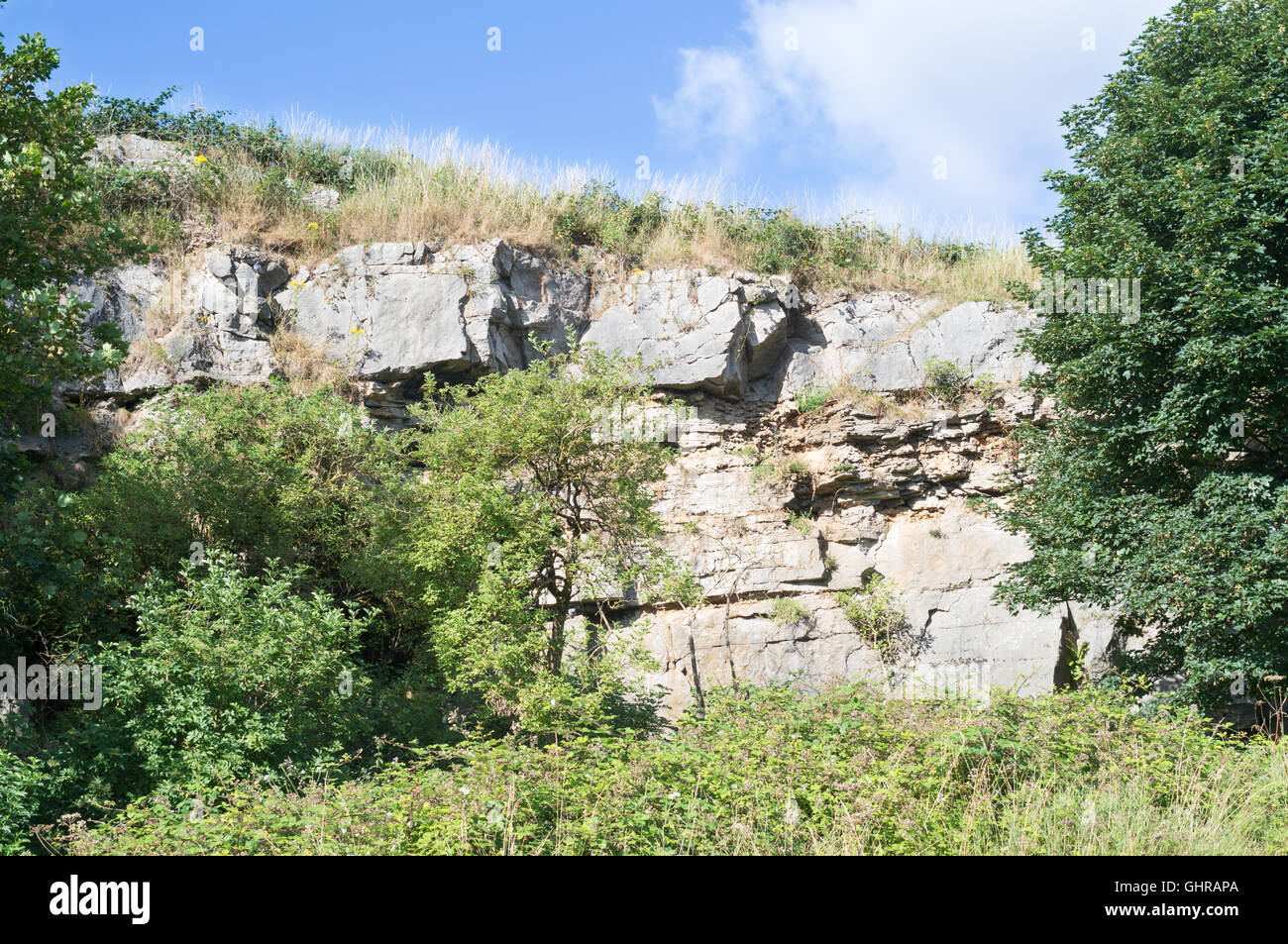 Ausgesetzt Kalkstein Schichten am Marsden alten Steinbruch Nature Reserve, Tyne and Wear, England, UK Stockfoto